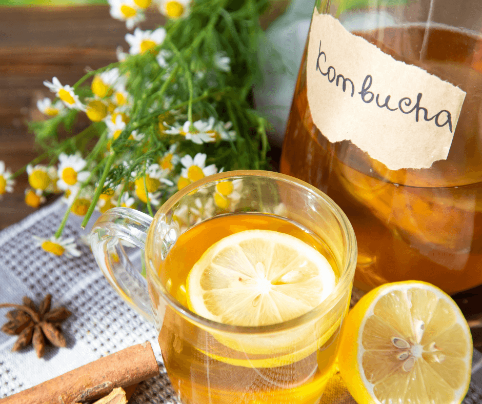 20250619_1_kombucha_t.png