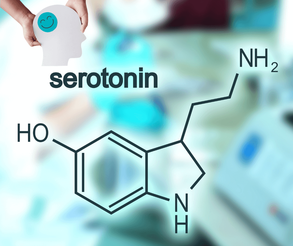 20250731_2_szerotonin_t.png