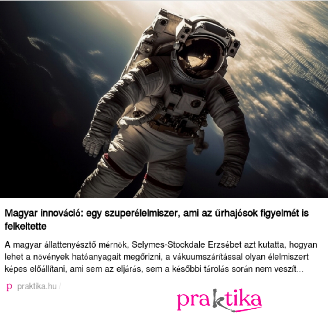 20260203_Praktika.png
